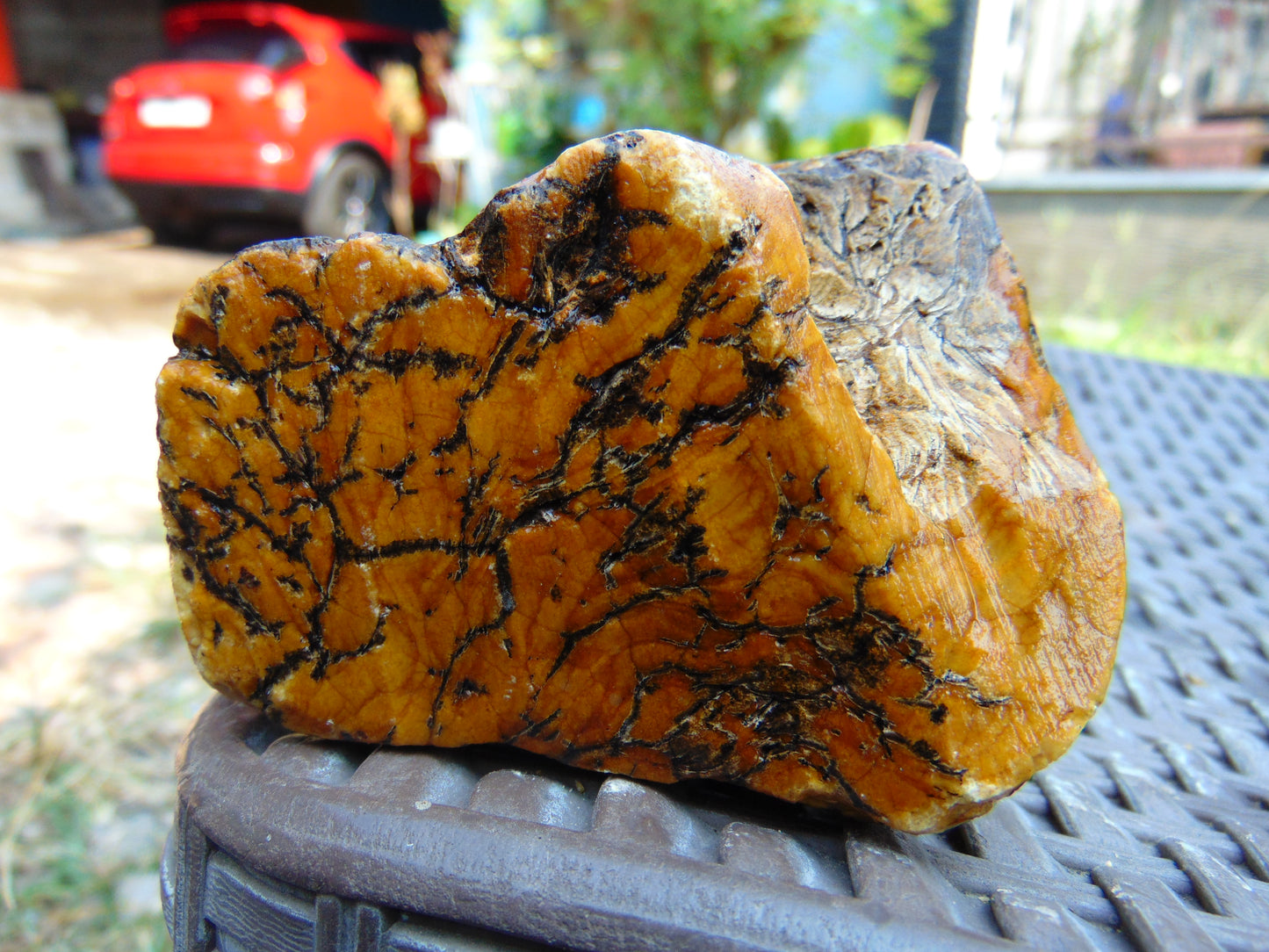 300 gram Polished Indonesia Yellow Aromatic Amber for Healing AY26M138