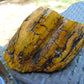 300 gram Polished Indonesia Yellow Aromatic Amber for Healing AY26M138
