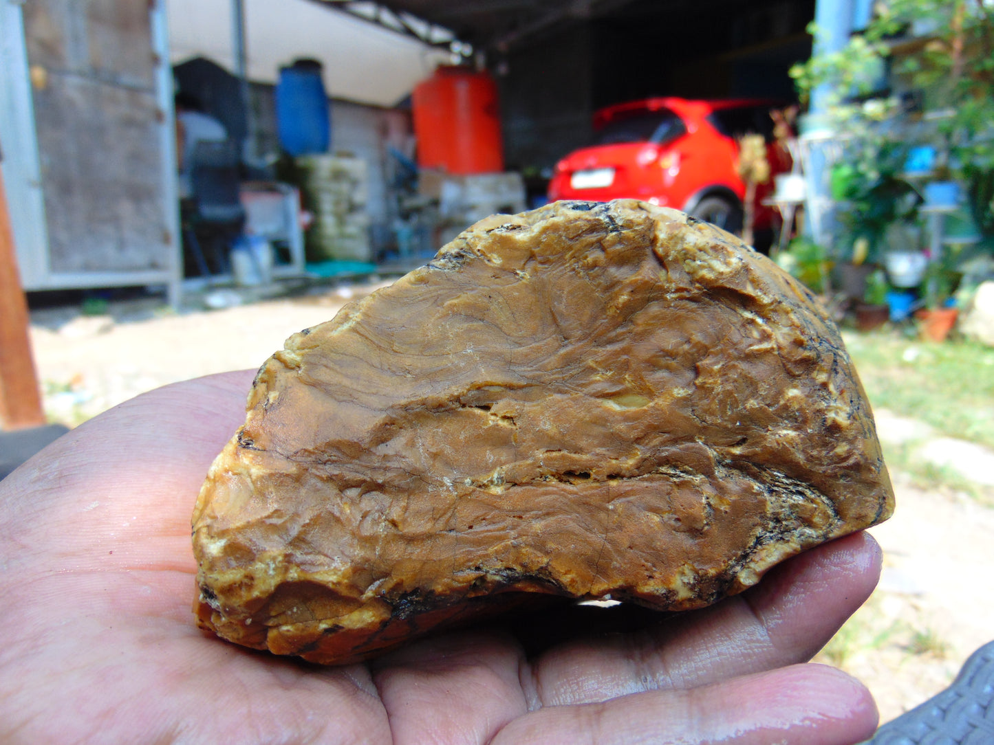 300 gram Polished Indonesia Yellow Aromatic Amber for Healing AY26M138