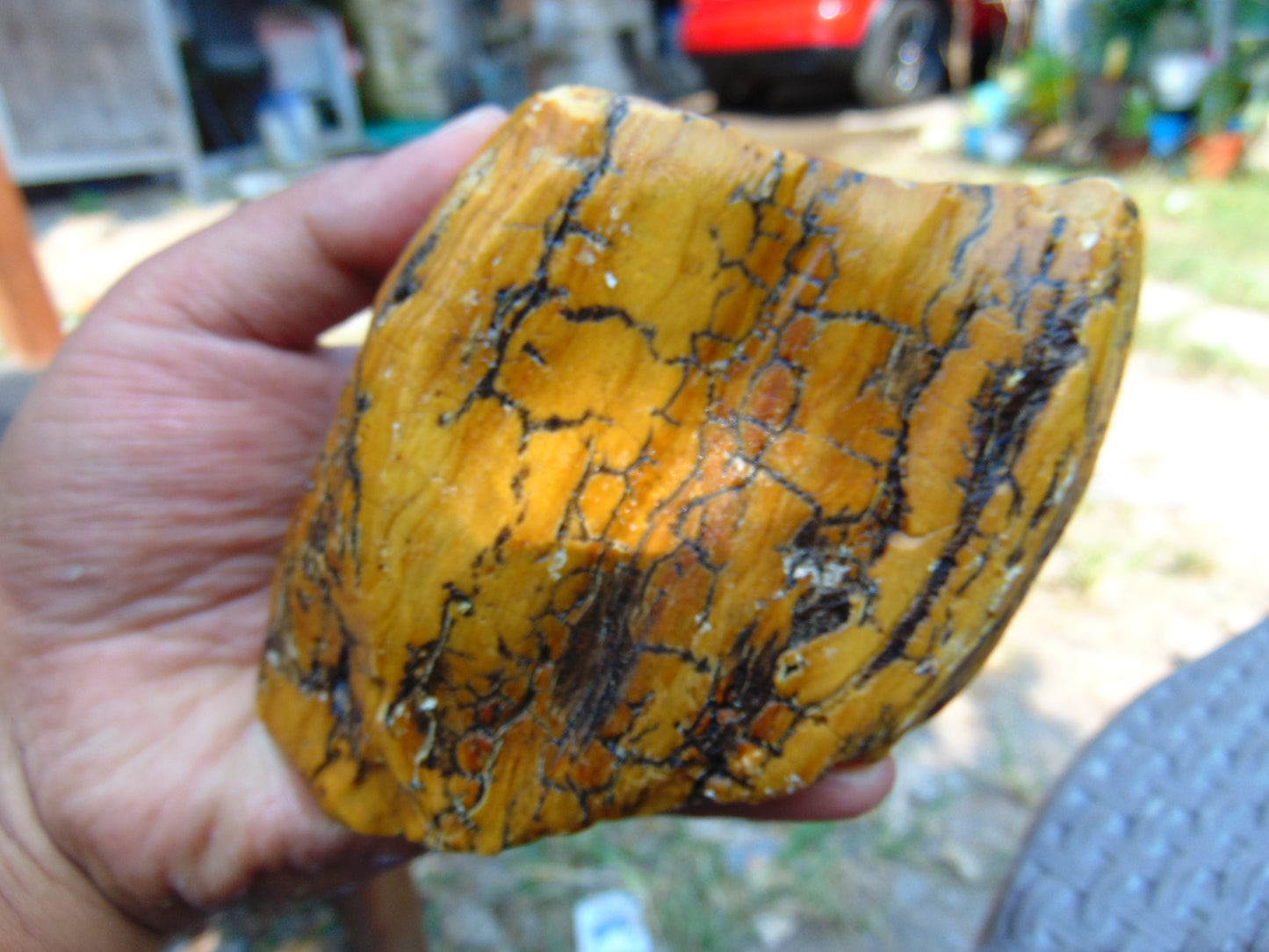300 gram Polished Indonesia Yellow Aromatic Amber for Healing AY26M138