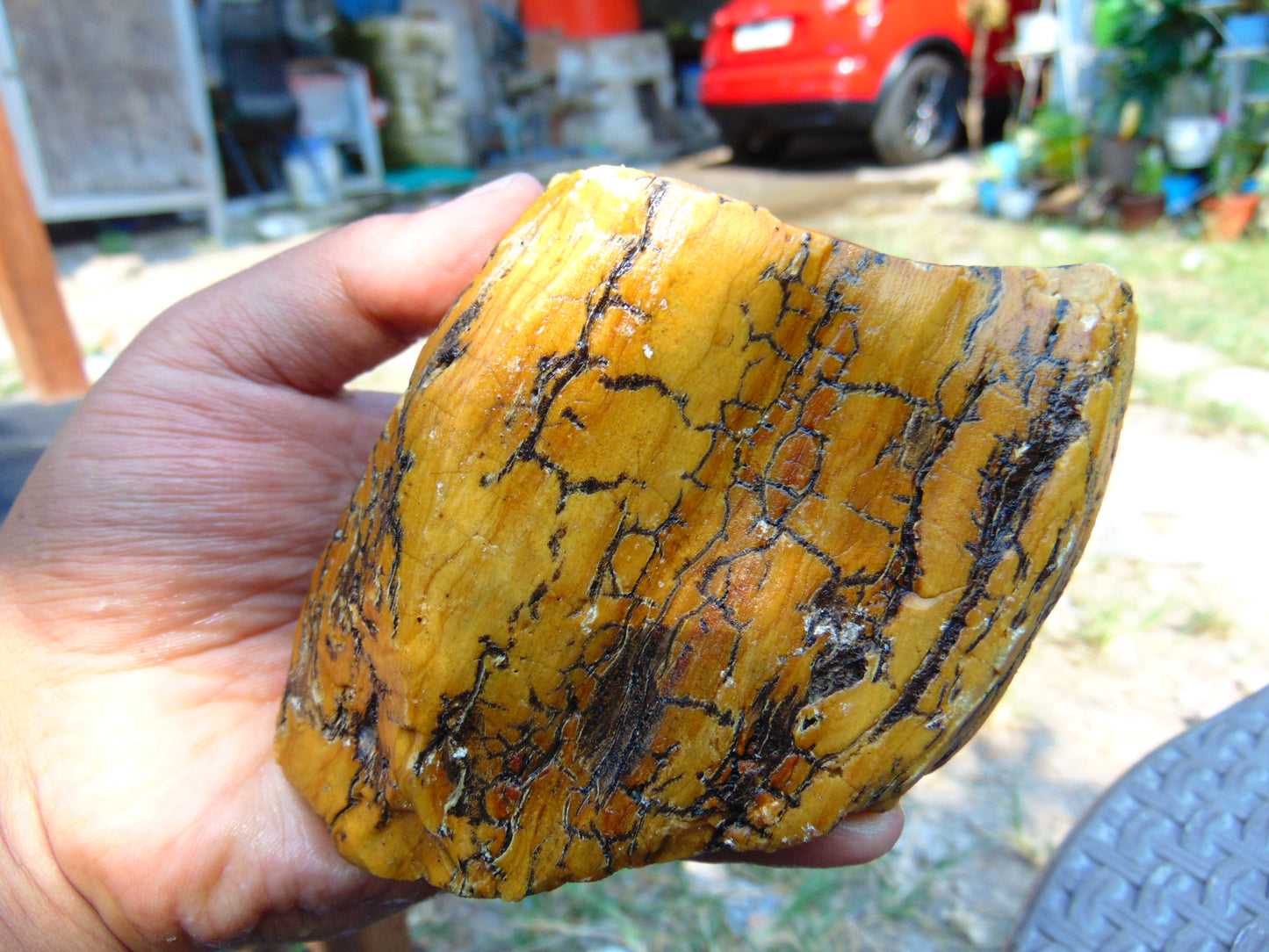 300 gram Polished Indonesia Yellow Aromatic Amber for Healing AY26M138