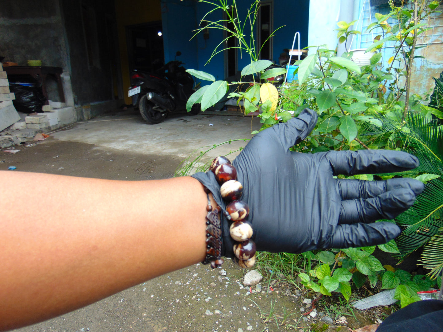 35 gr 14 Beads Mala Bracelet Indonesian White Red Amber for Healing A14G259