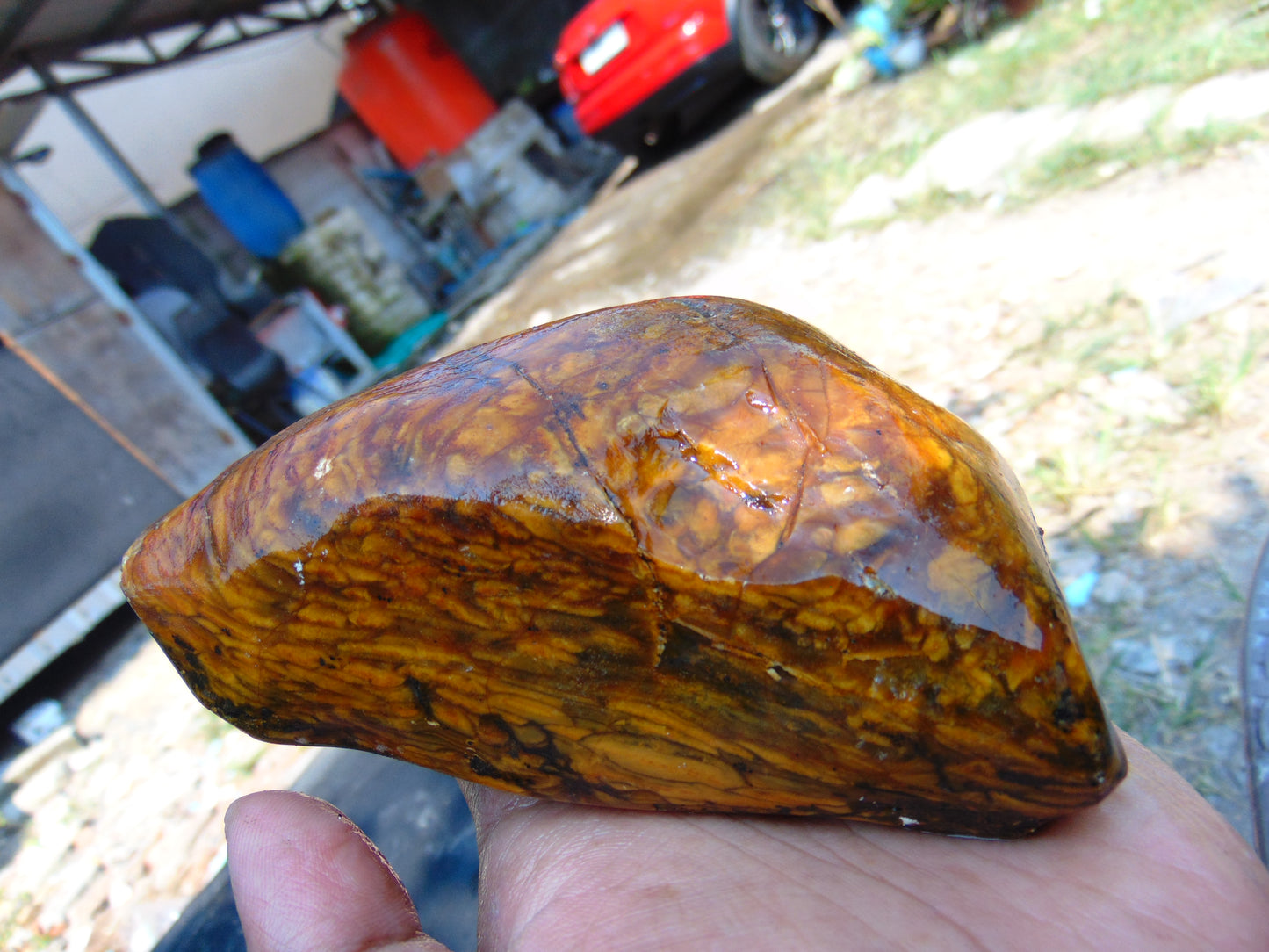 275 gram Polished Indonesia Yellow Aromatic Amber for Healing AY26M132