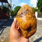 462 gram Polished Indonesia Yellow Fragrance Amber for Healing AYAR06