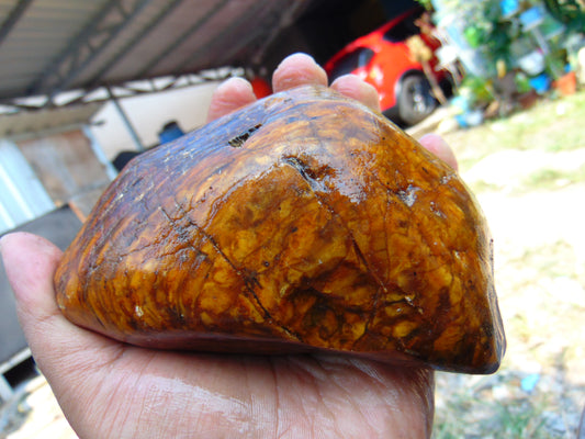 275 gram Polished Indonesia Yellow Aromatic Amber for Healing AY26M132