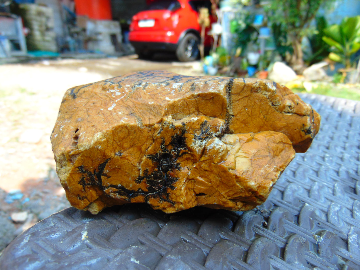 256 gram Polished Indonesia Yellow Aromatic Amber for Healing AY26M133