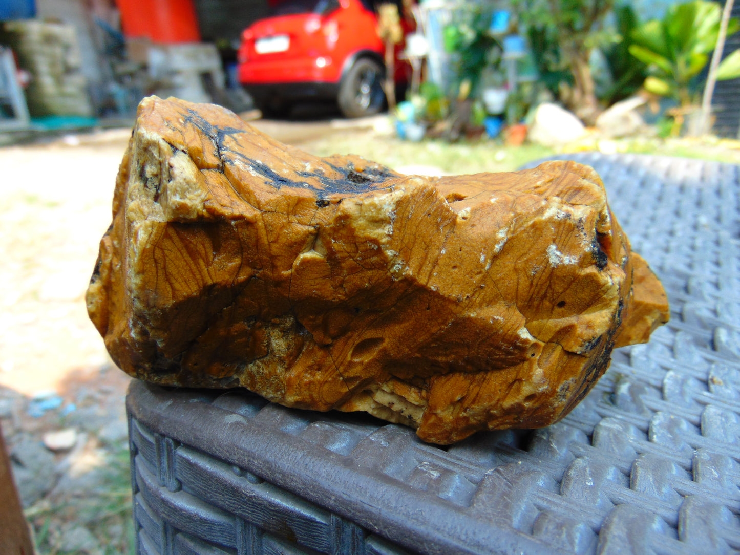 256 gram Polished Indonesia Yellow Aromatic Amber for Healing AY26M133