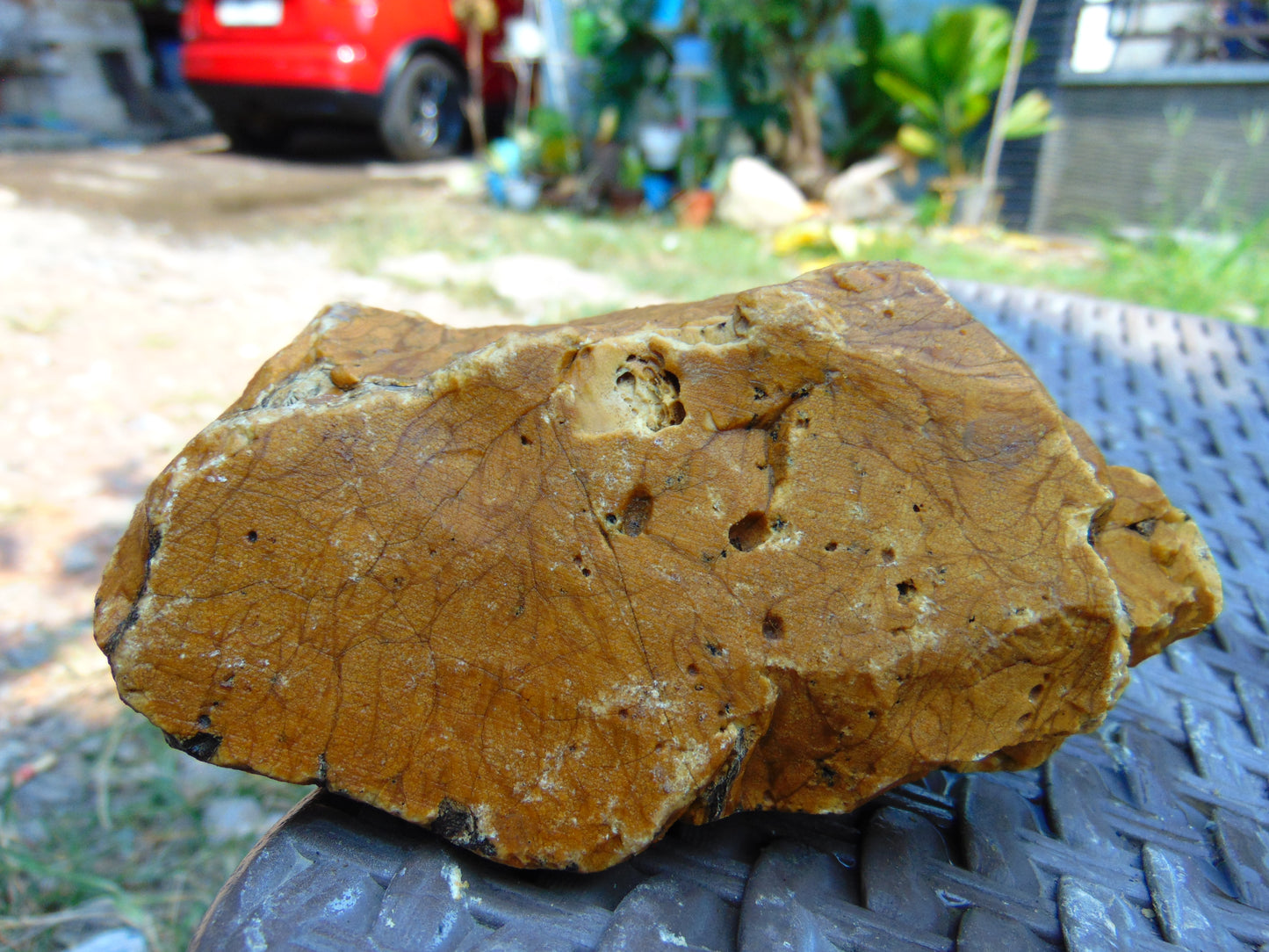 256 gram Polished Indonesia Yellow Aromatic Amber for Healing AY26M133