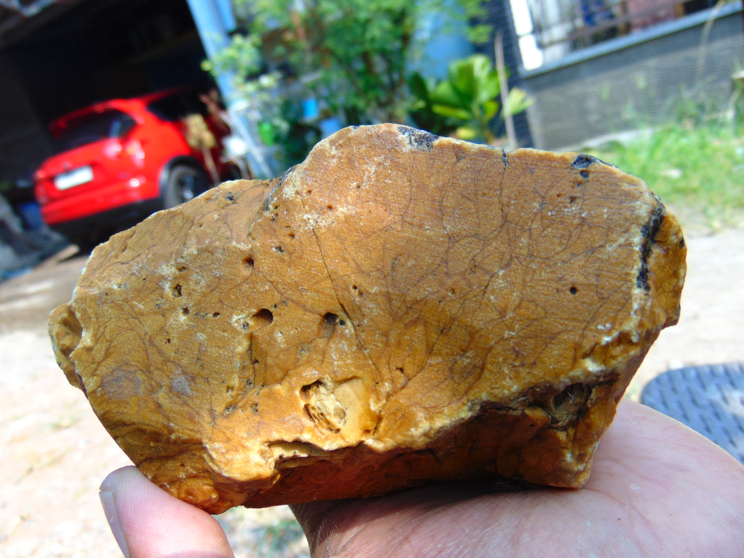 256 gram Polished Indonesia Yellow Aromatic Amber for Healing AY26M133