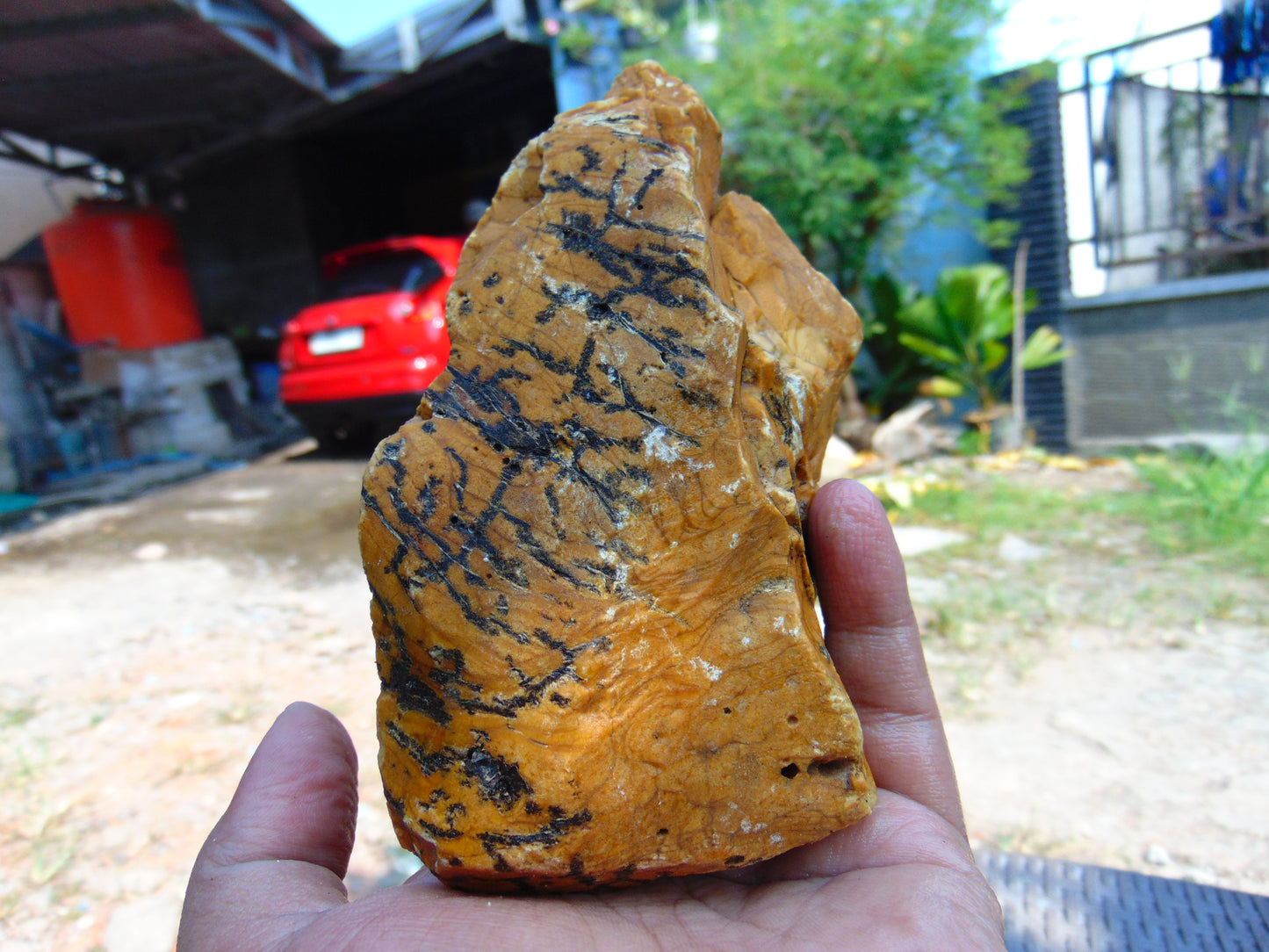 256 gram Polished Indonesia Yellow Aromatic Amber for Healing AY26M133
