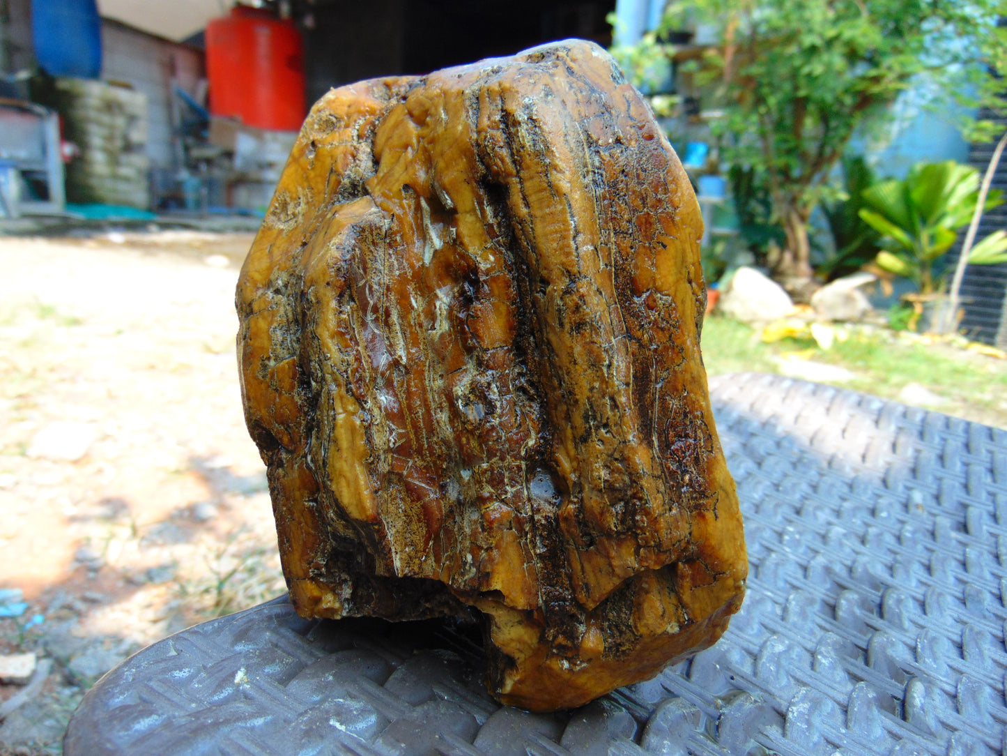 407 gram Polished Indonesia Yellow Aromatic Amber for Healing AY26M130