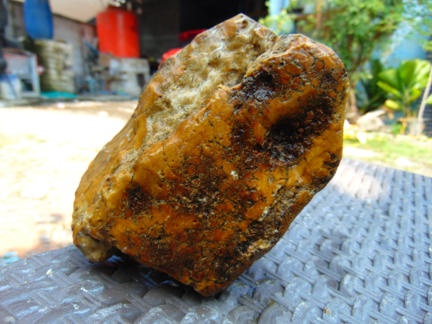 407 gram Polished Indonesia Yellow Aromatic Amber for Healing AY26M130