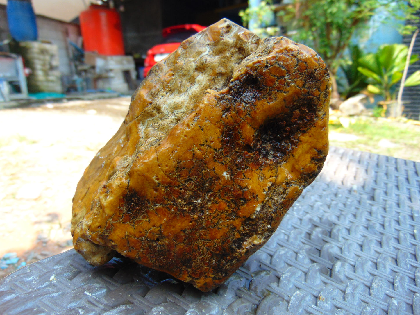 407 gram Polished Indonesia Yellow Aromatic Amber for Healing AY26M130