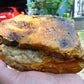 407 gram Polished Indonesia Yellow Aromatic Amber for Healing AY26M130
