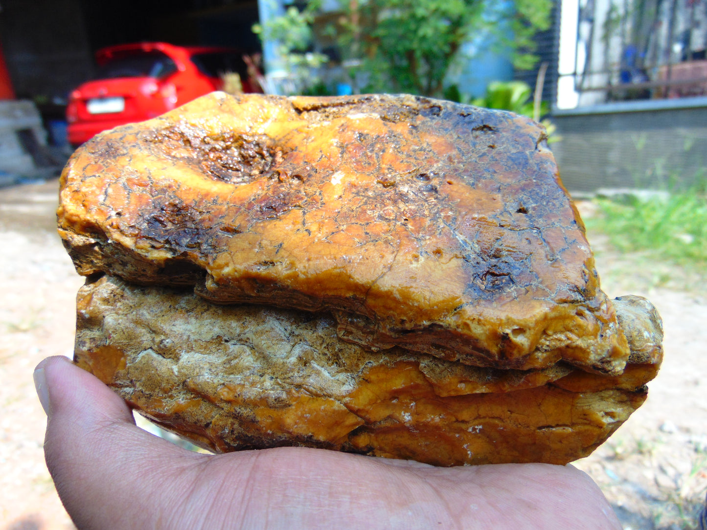 407 gram Polished Indonesia Yellow Aromatic Amber for Healing AY26M130