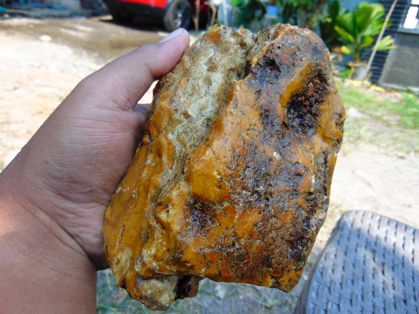 407 gram Polished Indonesia Yellow Aromatic Amber for Healing AY26M130
