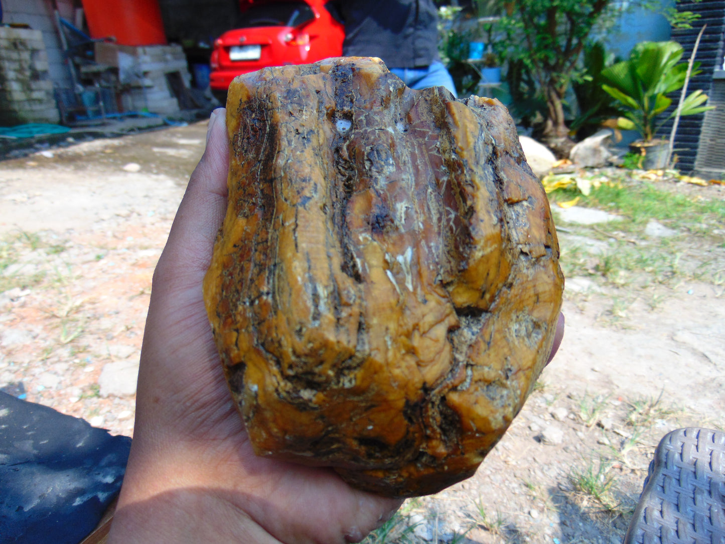 407 gram Polished Indonesia Yellow Aromatic Amber for Healing AY26M130