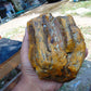 407 gram Polished Indonesia Yellow Aromatic Amber for Healing AY26M130