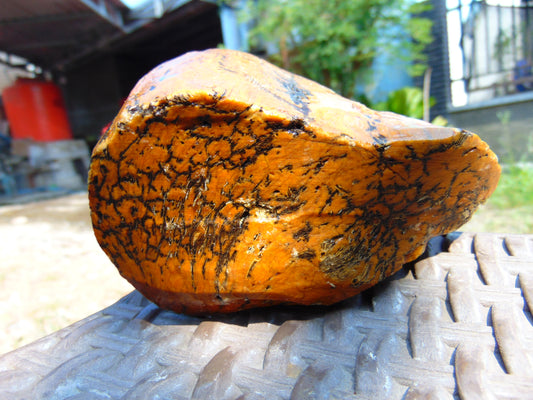 310 gram Polished Indonesia Yellow Aromatic Amber for Healing AY26M128