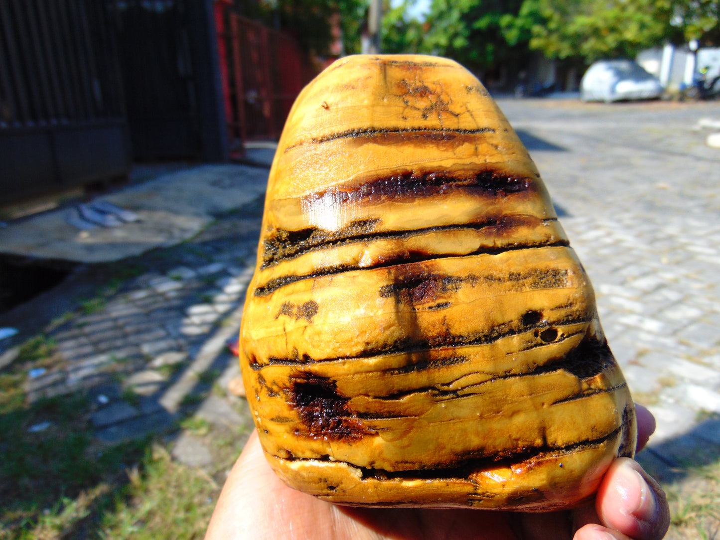 617 gram Polished Indonesia Yellow Fragrance Amber for Healing AYAR08