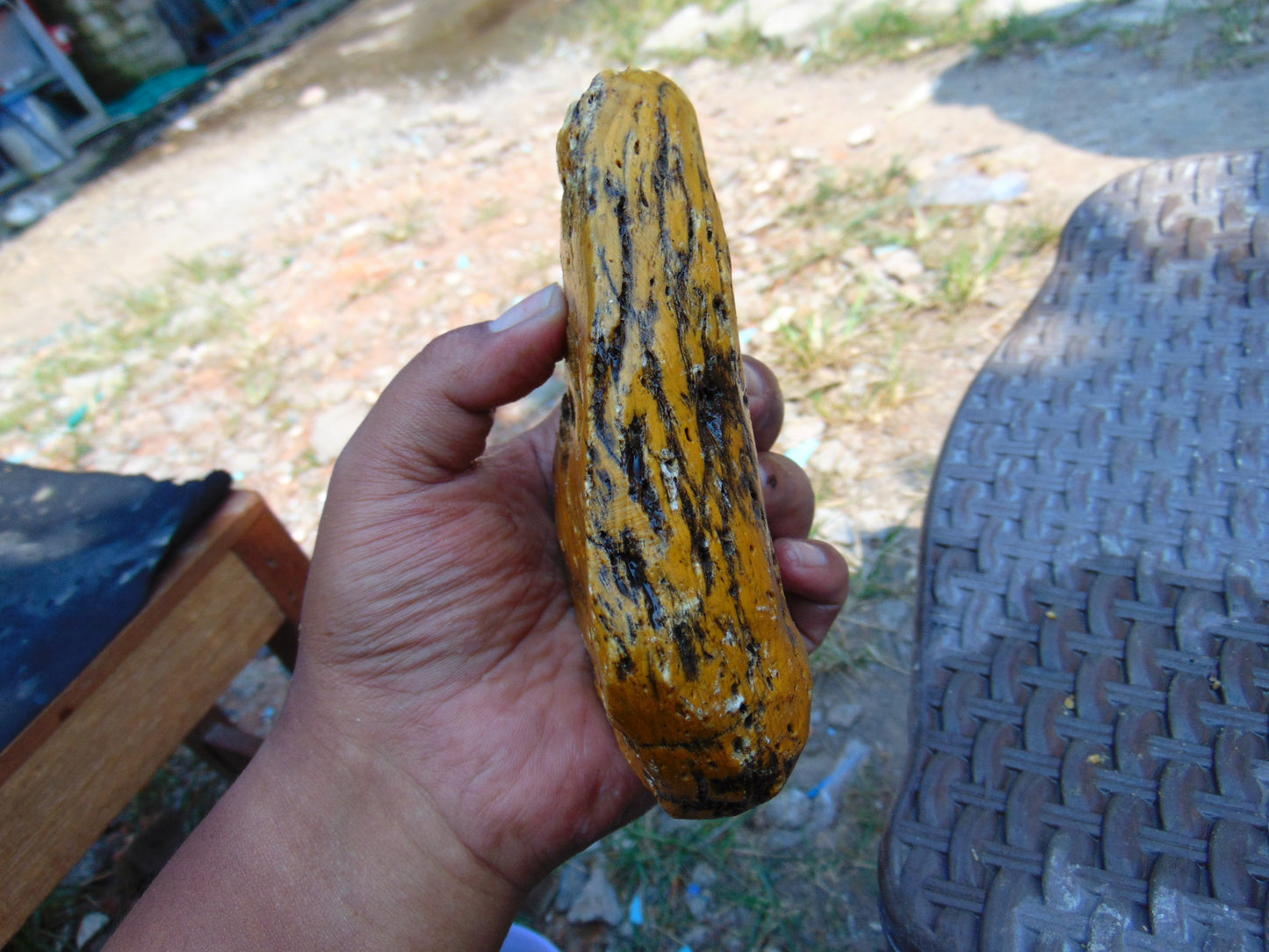 173 gram Polished Indonesia Yellow Aromatic Amber for Healing AY26M127