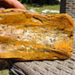 214 gram Polished Indonesia Yellow Fragrance Amber for Healing K825
