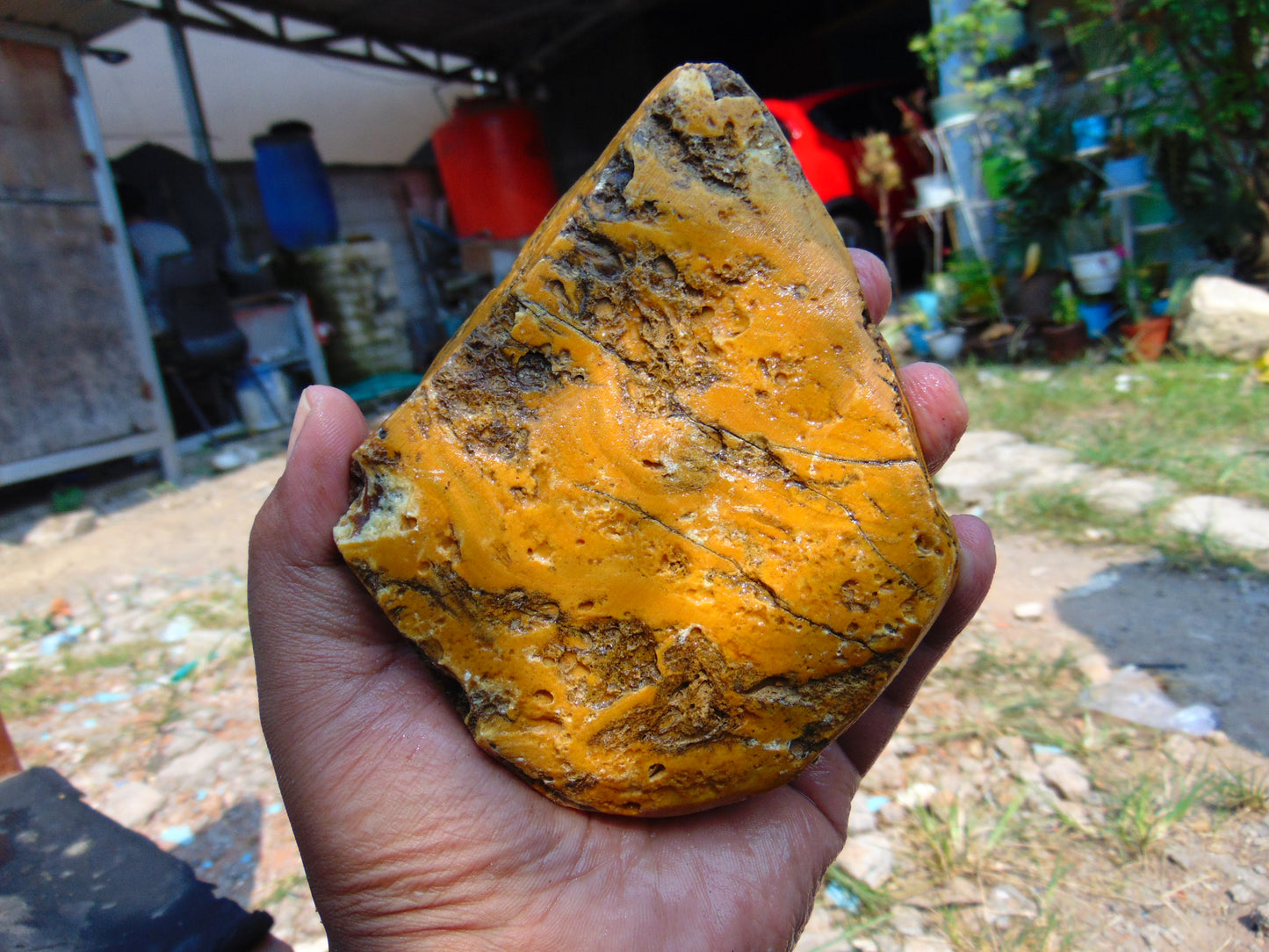 173 gram Polished Indonesia Yellow Aromatic Amber for Healing AY26M127