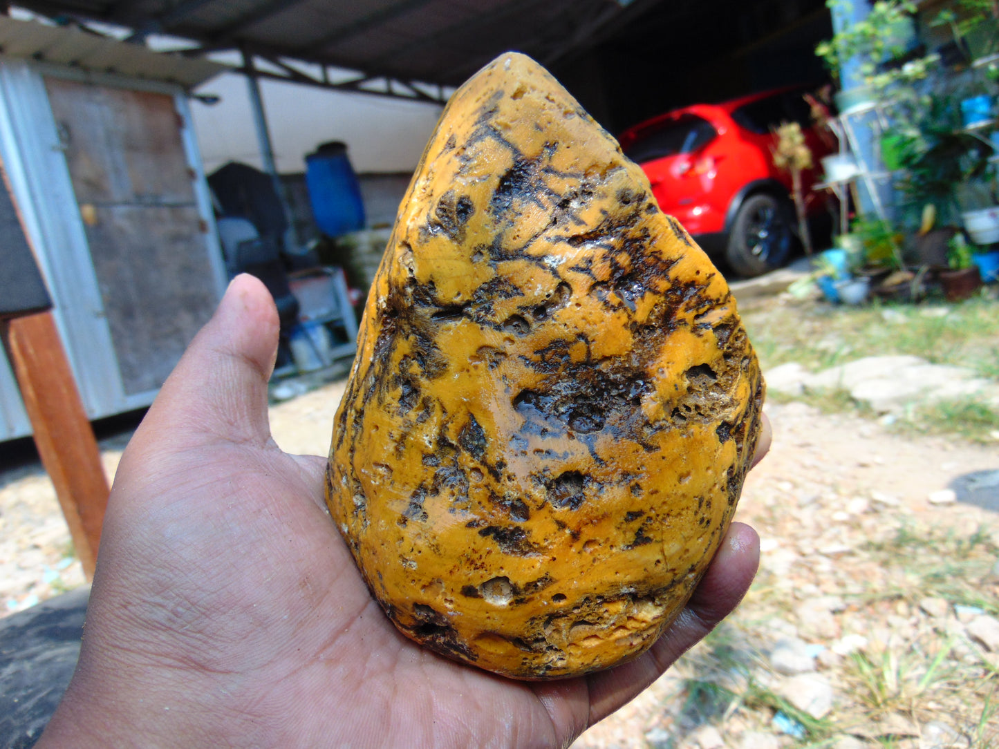 173 gram Polished Indonesia Yellow Aromatic Amber for Healing AY26M127