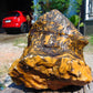 610 gram Polished Indonesia Yellow Aromatic Amber for Healing AY26M123
