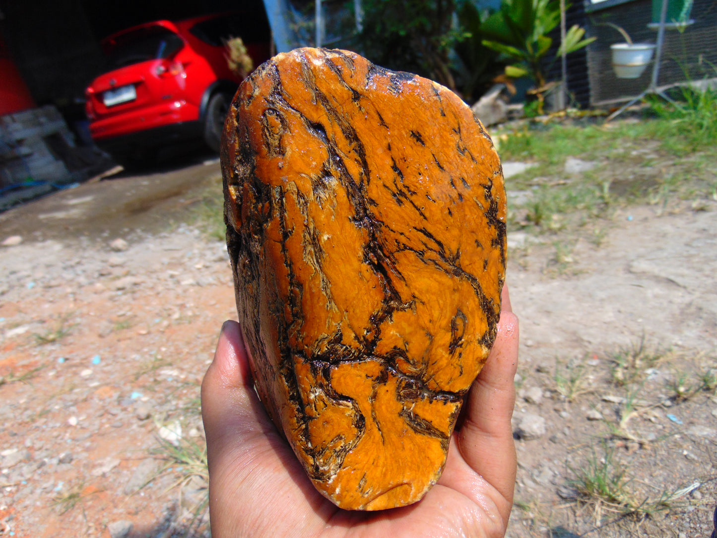873 gram Polished Indonesia Yellow Aromatic Amber for Healing AYM118