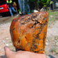 873 gram Polished Indonesia Yellow Aromatic Amber for Healing AYM118