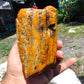 402 gram Polished Indonesia Yellow Fragrance Amber for Healing K824