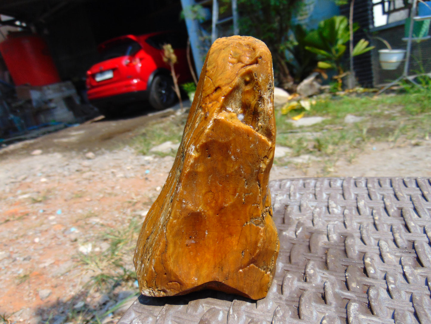256 gram Polished Indonesia Yellow Aromatic Amber for Healing AY26M131