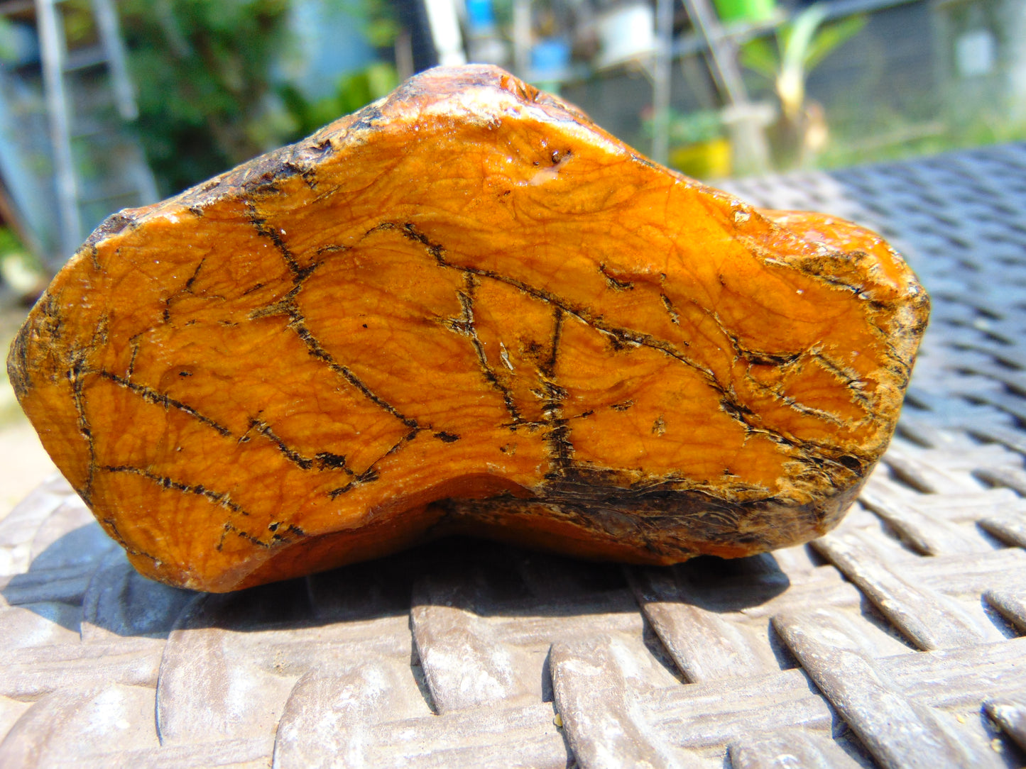 256 gram Polished Indonesia Yellow Aromatic Amber for Healing AY26M131