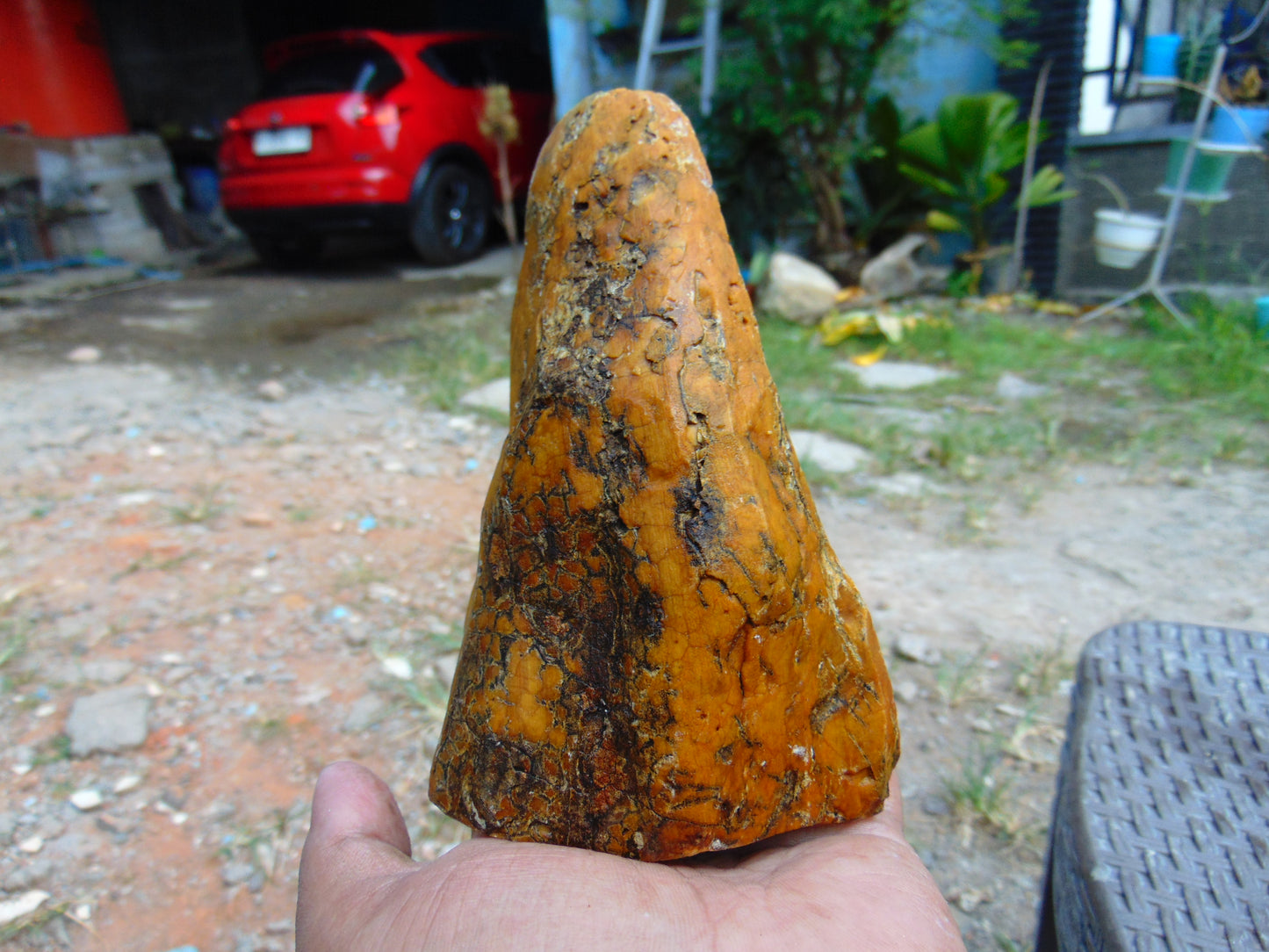 256 gram Polished Indonesia Yellow Aromatic Amber for Healing AY26M131