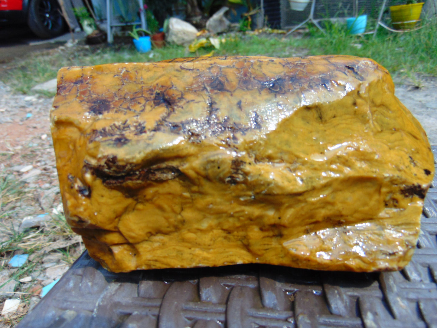 353 gram Polished Indonesia Yellow Aromatic Amber for Healing AY26M151