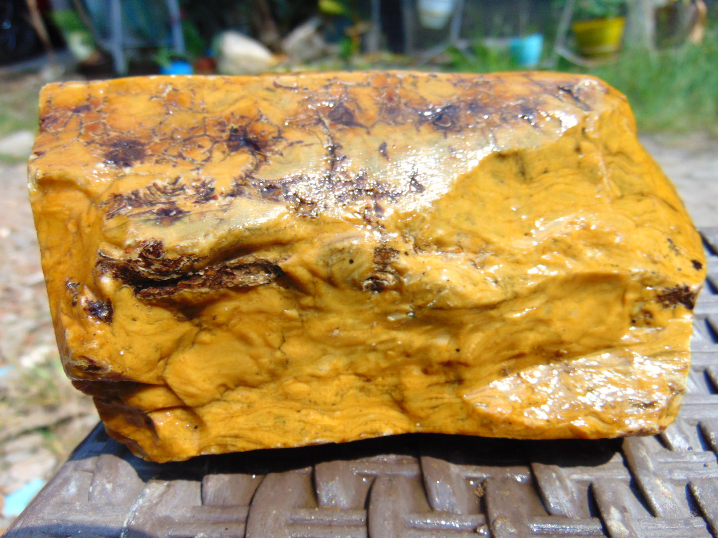 353 gram Polished Indonesia Yellow Aromatic Amber for Healing AY26M151