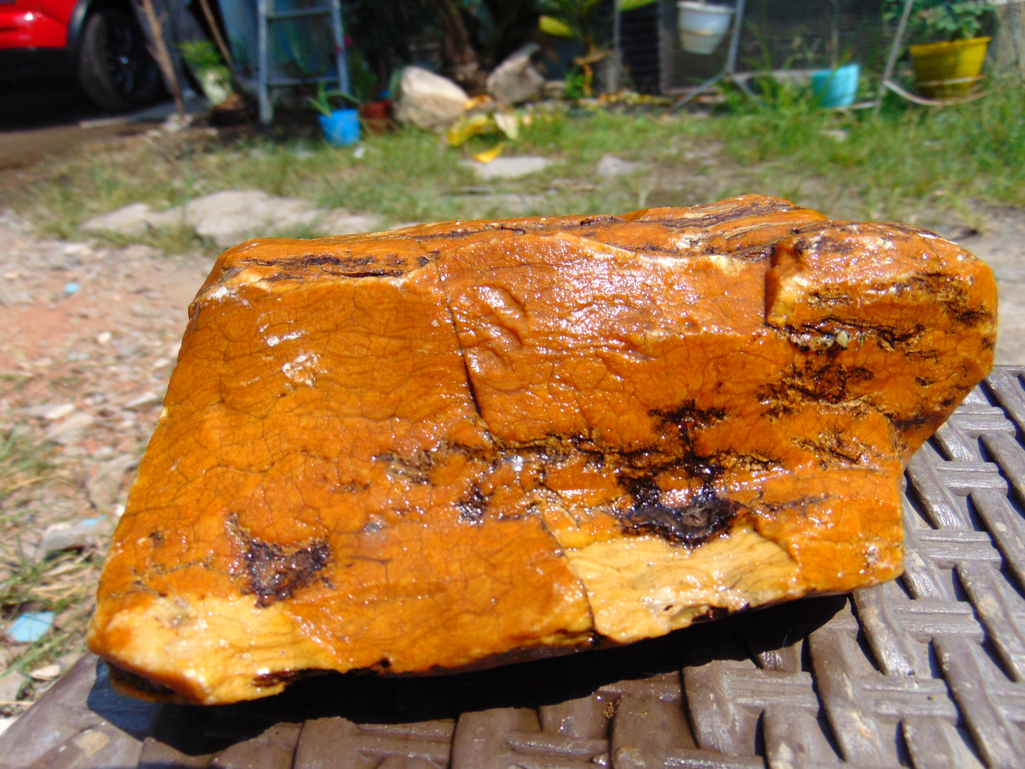 353 gram Polished Indonesia Yellow Aromatic Amber for Healing AY26M151
