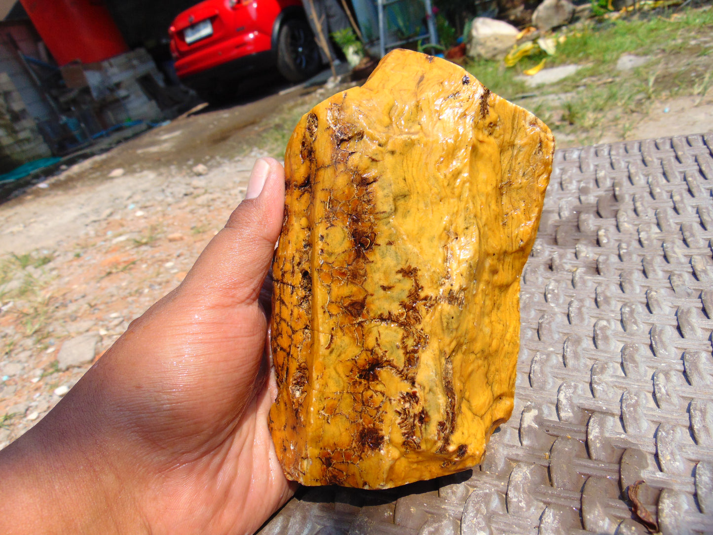 353 gram Polished Indonesia Yellow Aromatic Amber for Healing AY26M151