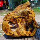816 gram Polished Indonesia Yellow Aromatic Amber for Healing AY26M145