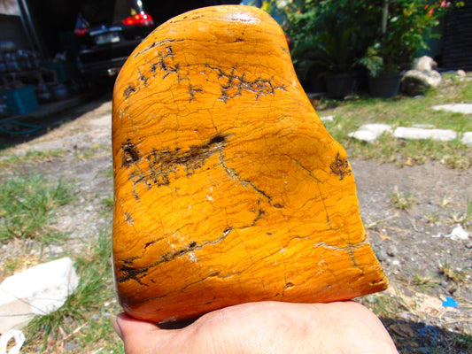 945 gram Polished Indonesia Yellow Fragrance Amber for Healing K819