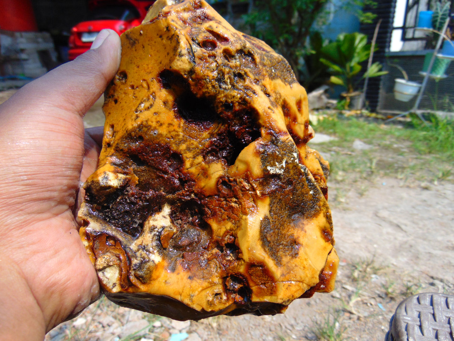 816 gram Polished Indonesia Yellow Aromatic Amber for Healing AY26M145