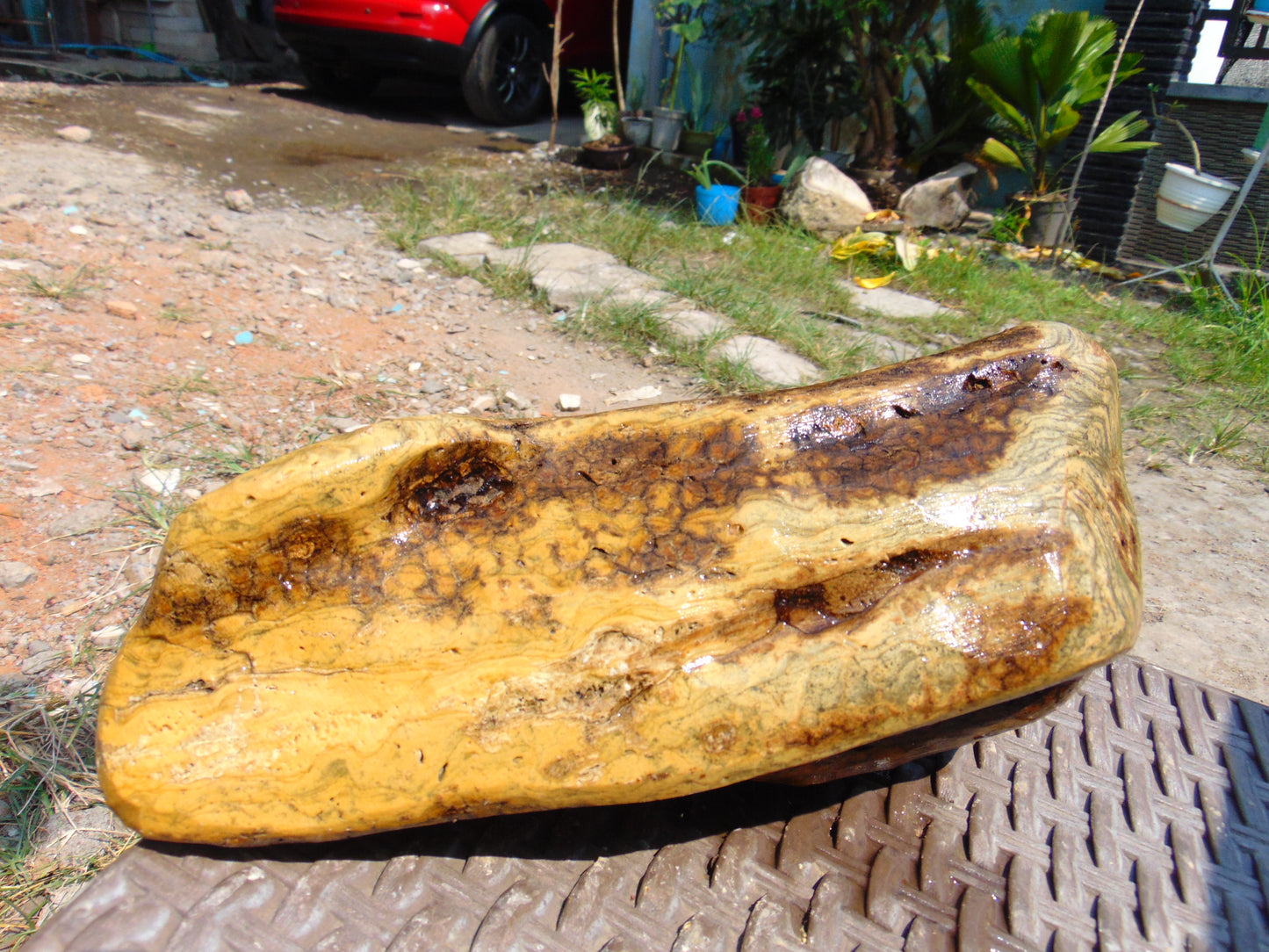 1170 gram Polished Indonesia Yellow Aromatic Amber for Healing AY26171