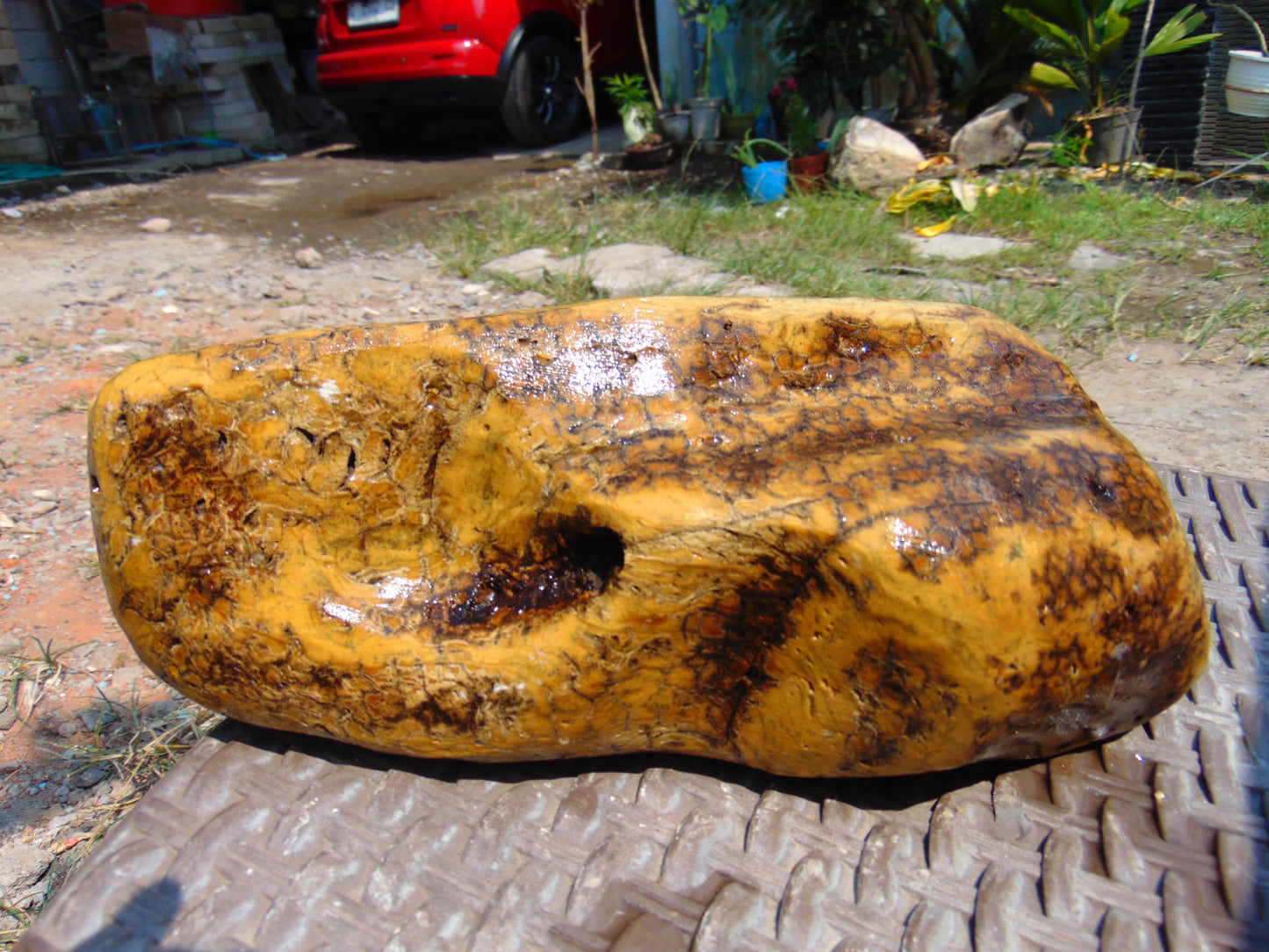 1170 gram Polished Indonesia Yellow Aromatic Amber for Healing AY26171