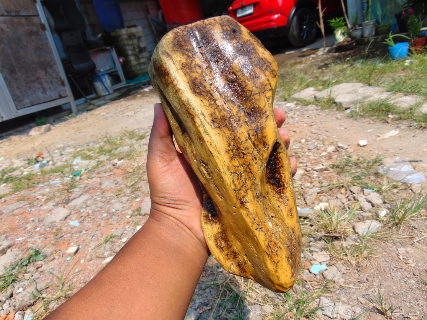 1170 gram Polished Indonesia Yellow Aromatic Amber for Healing AY26171