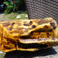 4606 gram Polished Indonesia Yellow Fragrance Amber for Healing K830