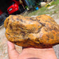 430 gram Polished Indonesia Yellow Aromatic Amber for Healing AY26M159