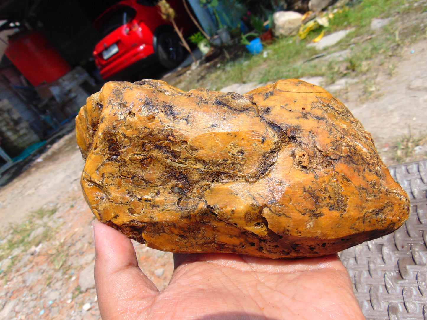430 gram Polished Indonesia Yellow Aromatic Amber for Healing AY26M159