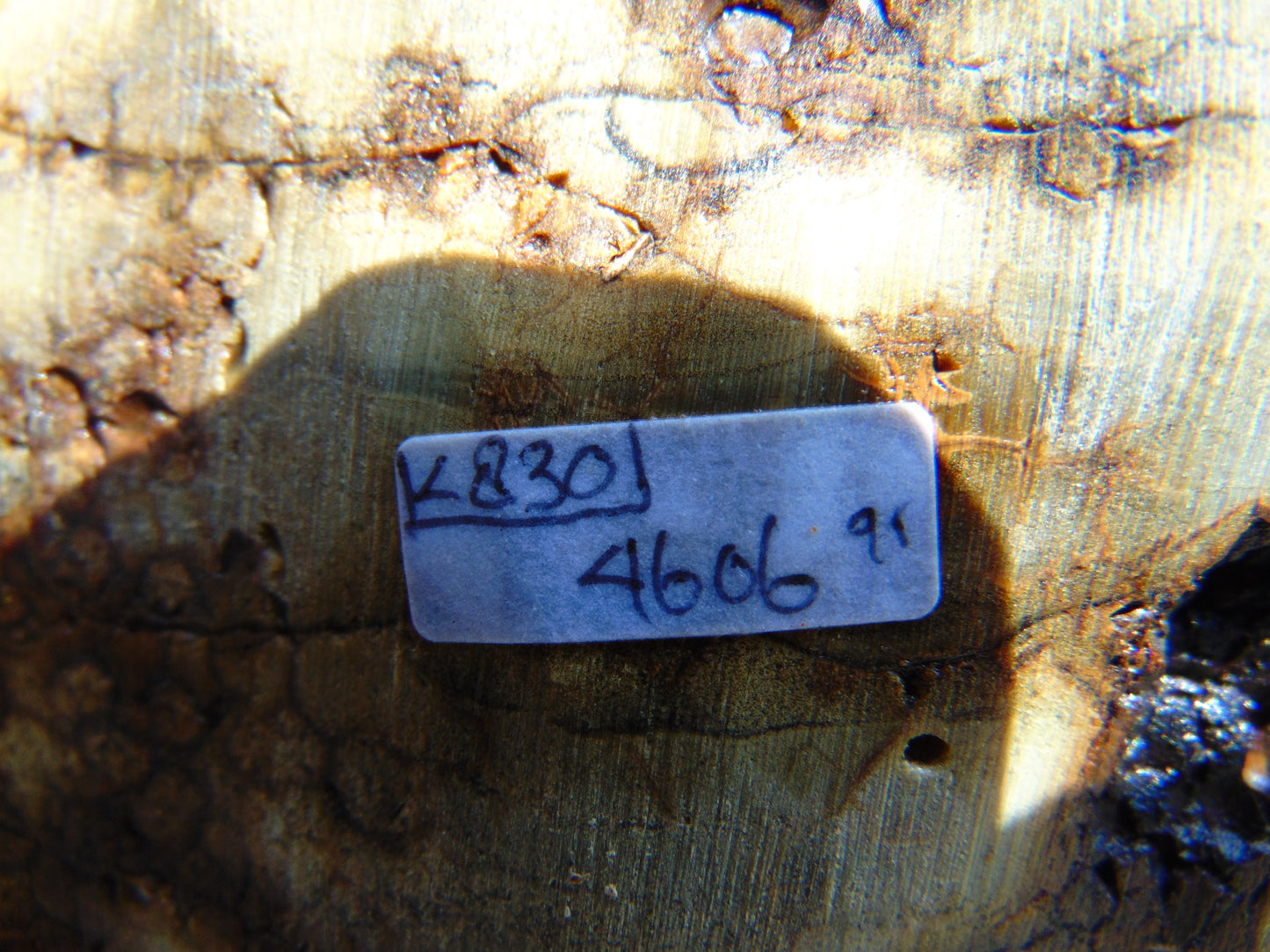 4606 gram Polished Indonesia Yellow Fragrance Amber for Healing K830