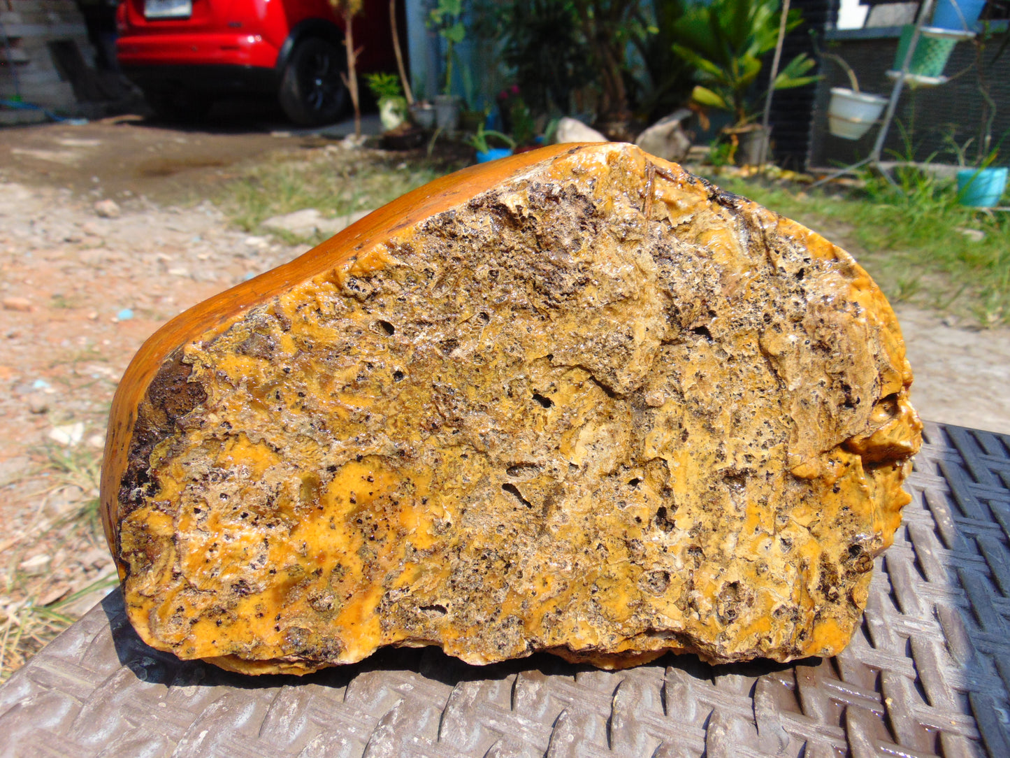 1376 gram Polished Indonesia Yellow Aromatic Amber for Healing AY26M113